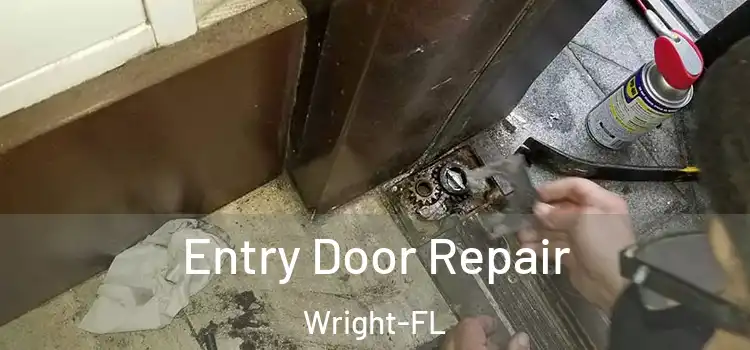  Entry Door Repair Wright-FL