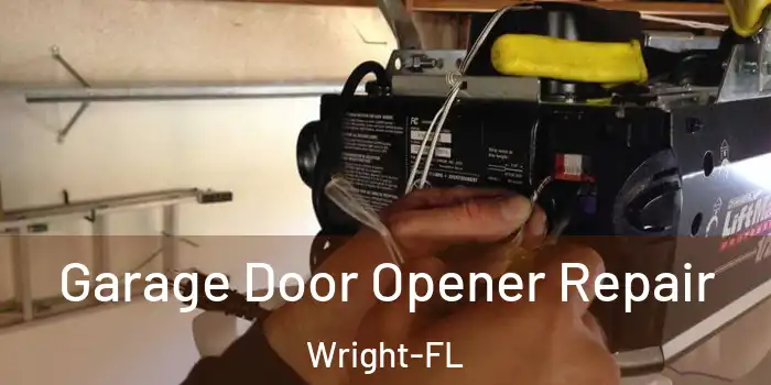  Garage Door Opener Repair Wright-FL