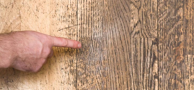 Wood Door Scratch Repair in Wright